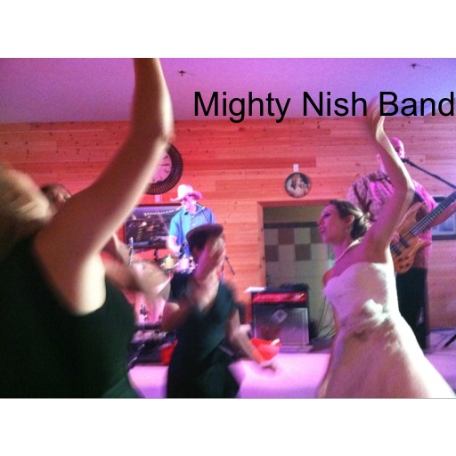 The Mighty Nish Band (Omaha, Nebraska  Iowa wedding reception music ...